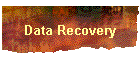 Data Recovery