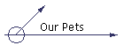 Our Pets